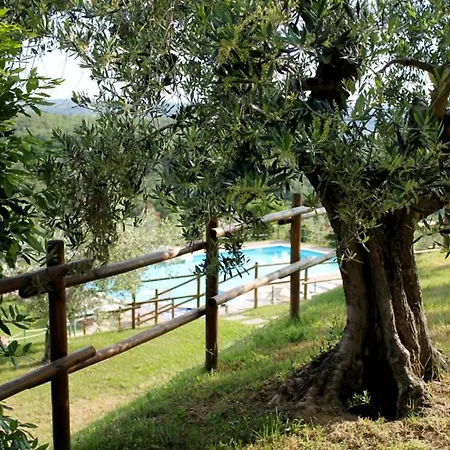 Popoltaio-schiacciato Sleeps 2 Pool Air Con Апартаменты Ravigliano